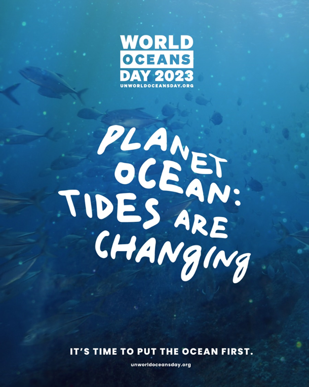 World Oceans Day 2023! Element Sustainability